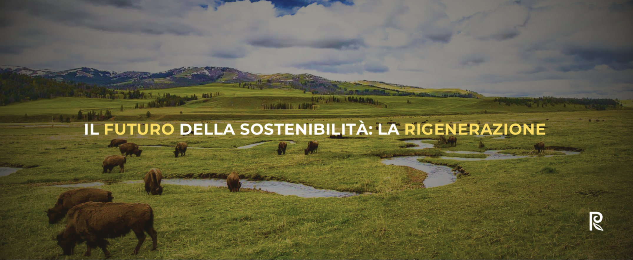 Piramide alimentare reinterpretata in chiave qualitativa