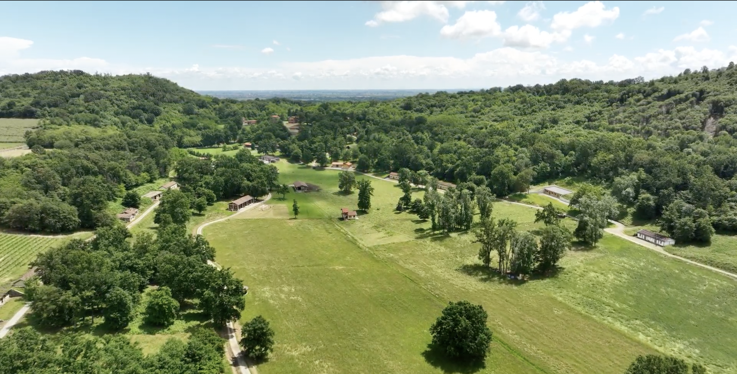 Vigneto PIWI del Bric della Vigna nel Canavese