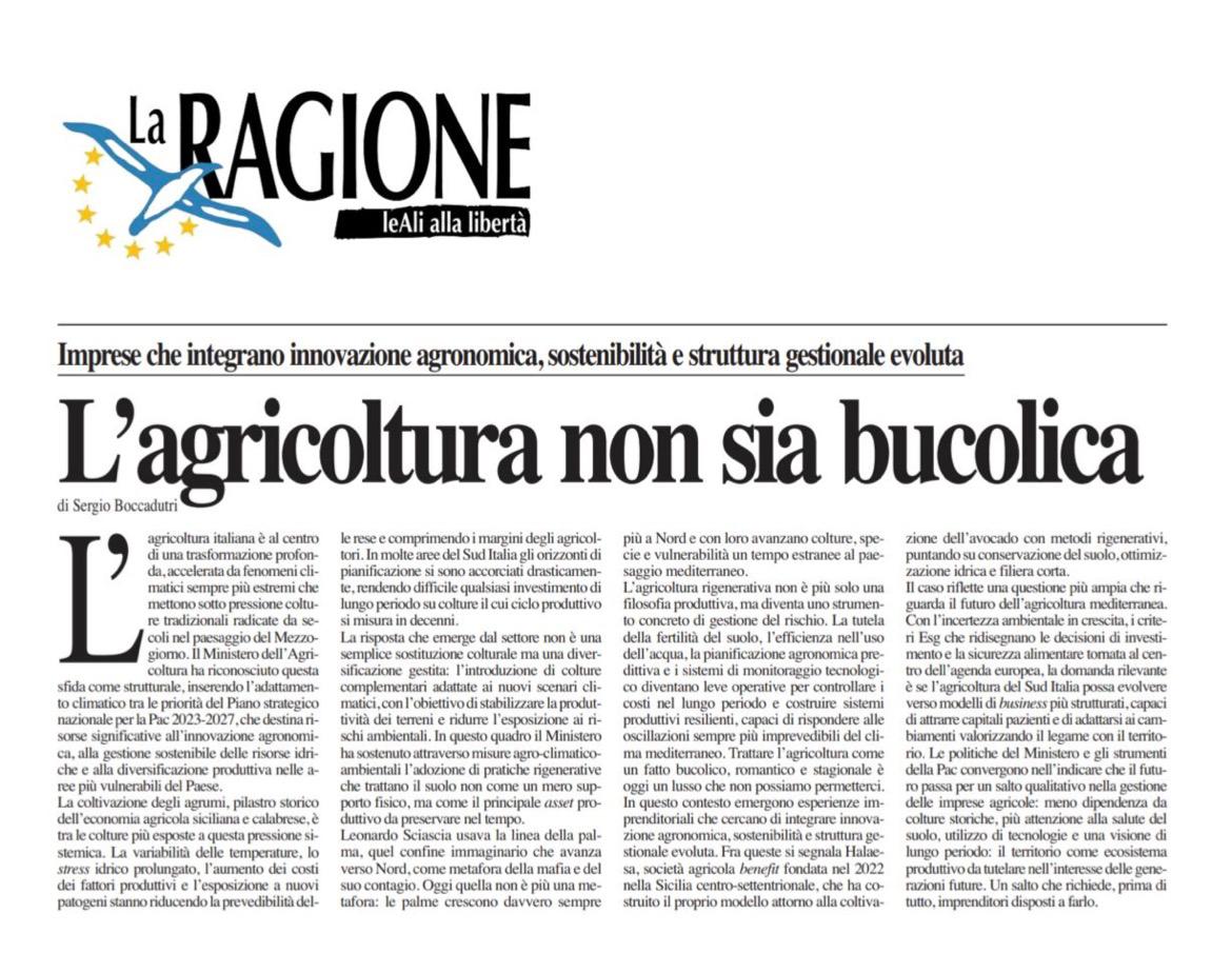 Discussione aziendale su costi, prove e decisioni agricole