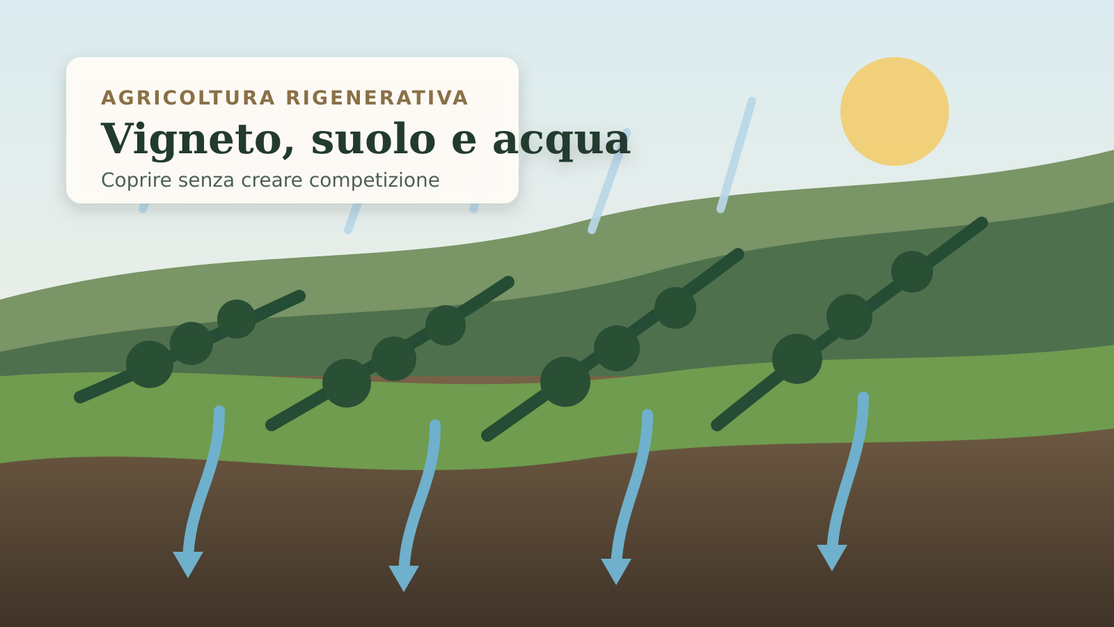 Illustrazione di filari inerbiti con pioggia che infiltra nel profilo del suolo