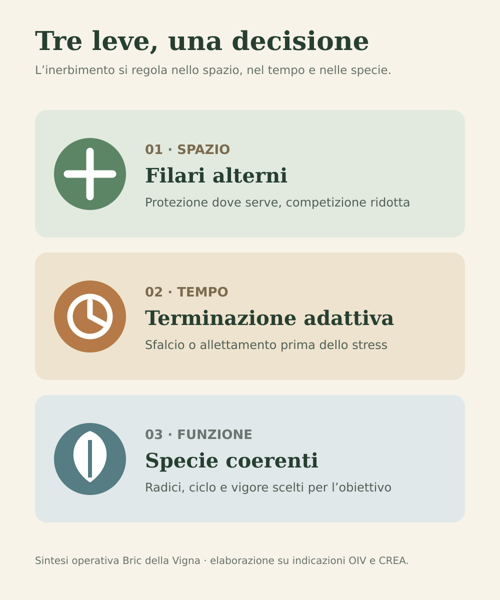Infografica sulle tre leve dell’inerbimento: filari alterni, terminazione adattiva e scelta delle specie