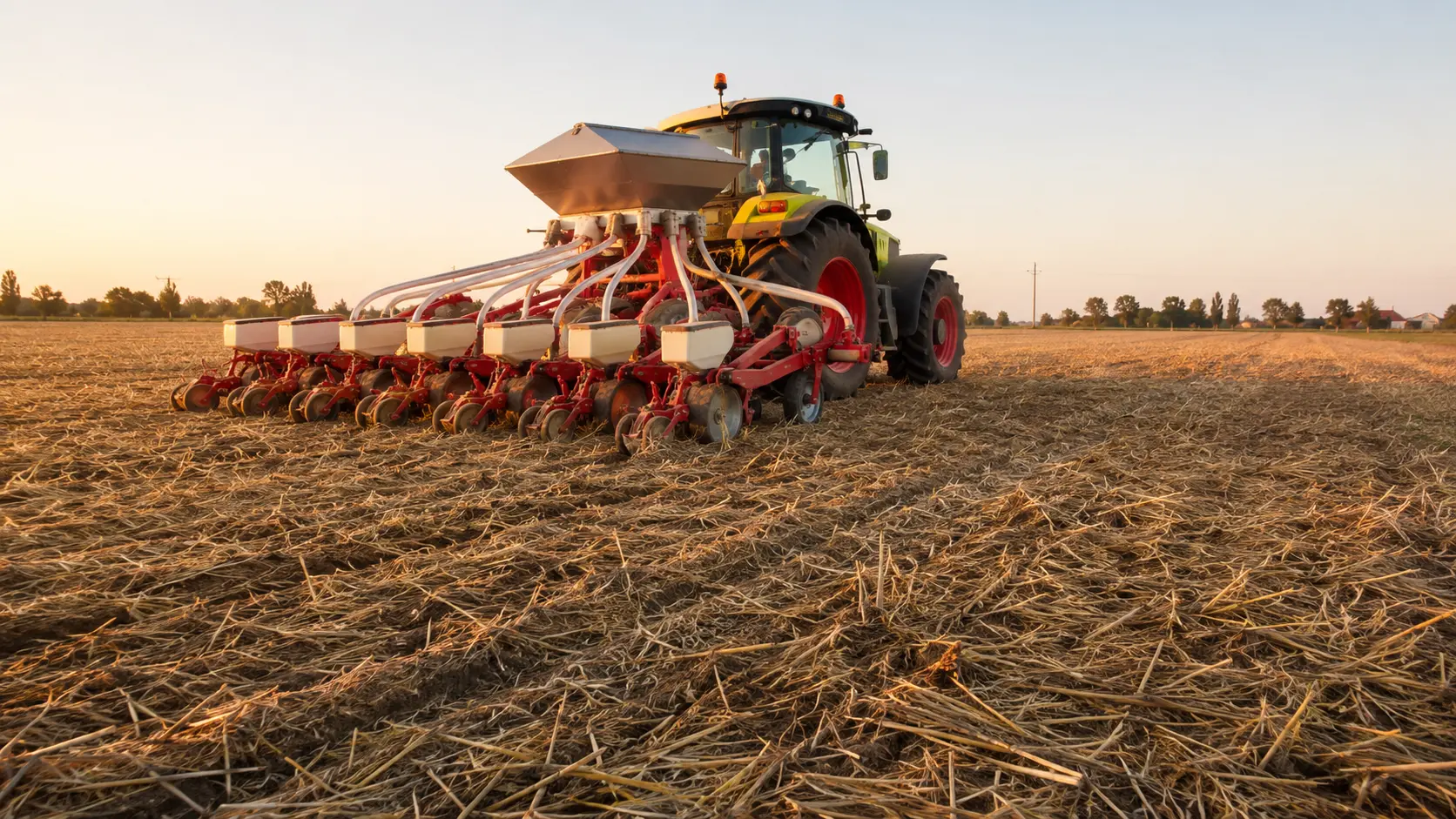 Seminatrice da sodo al lavoro in un tappeto di residui di cover crop terminata