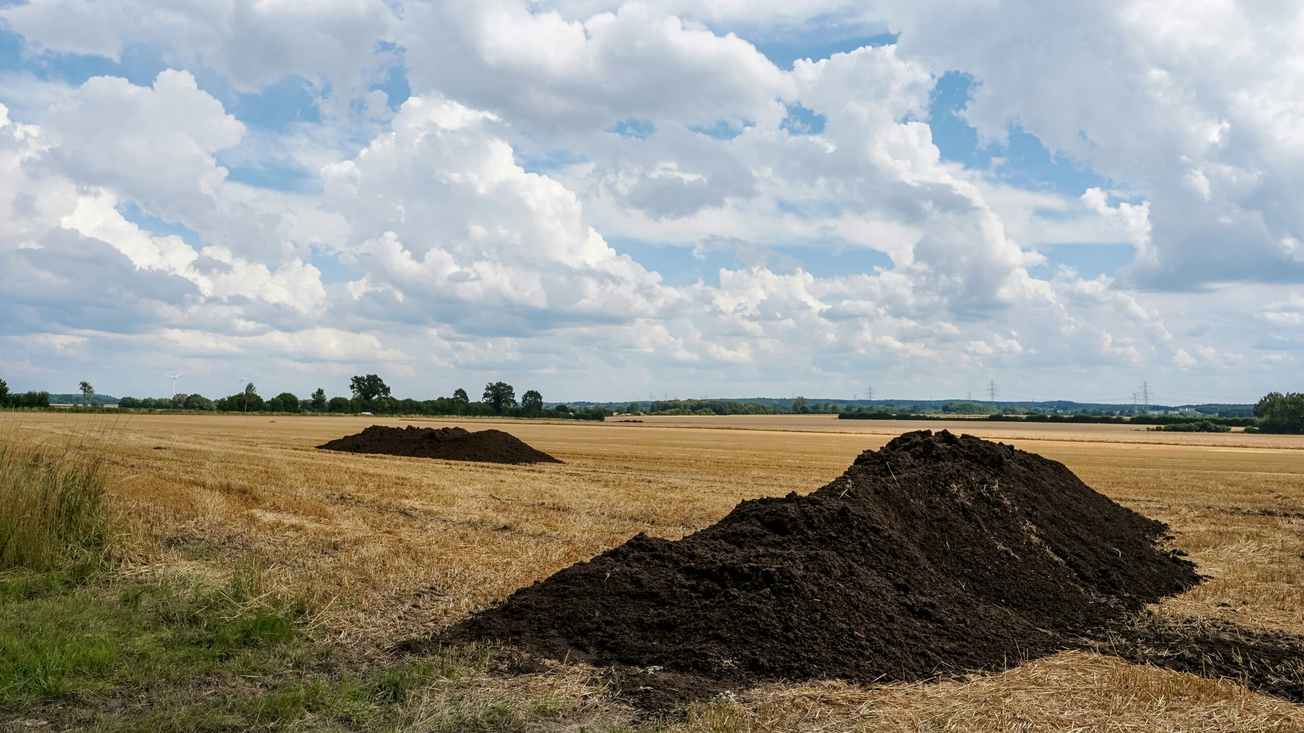 Cumuli di ammendante organico distribuiti in un campo dopo la raccolta