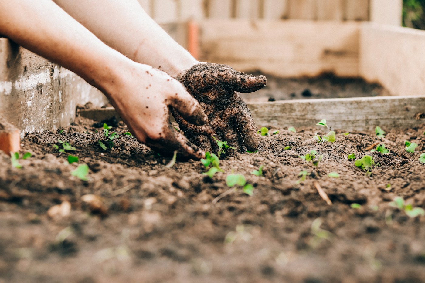 Mani coperte di terra: un campione rappresentativo è il punto di partenza per leggere la capacità di scambio cationico