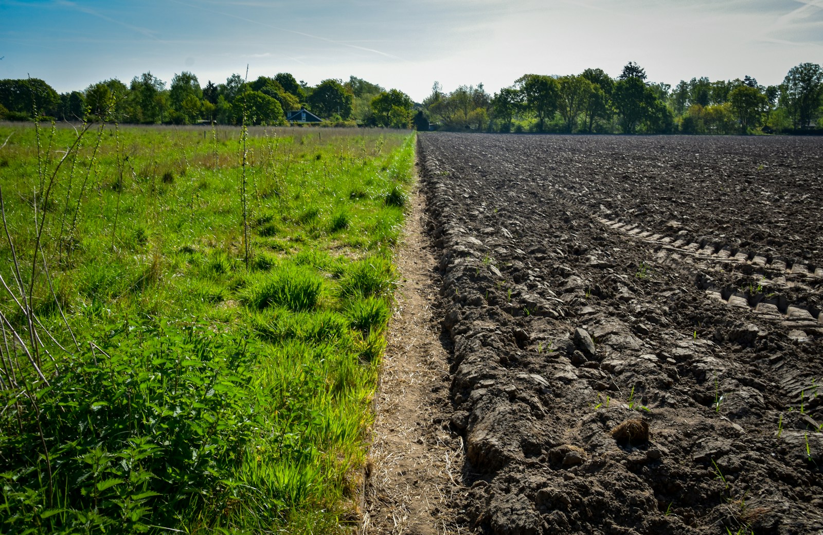 Due superfici agricole con copertura e struttura visibilmente differenti