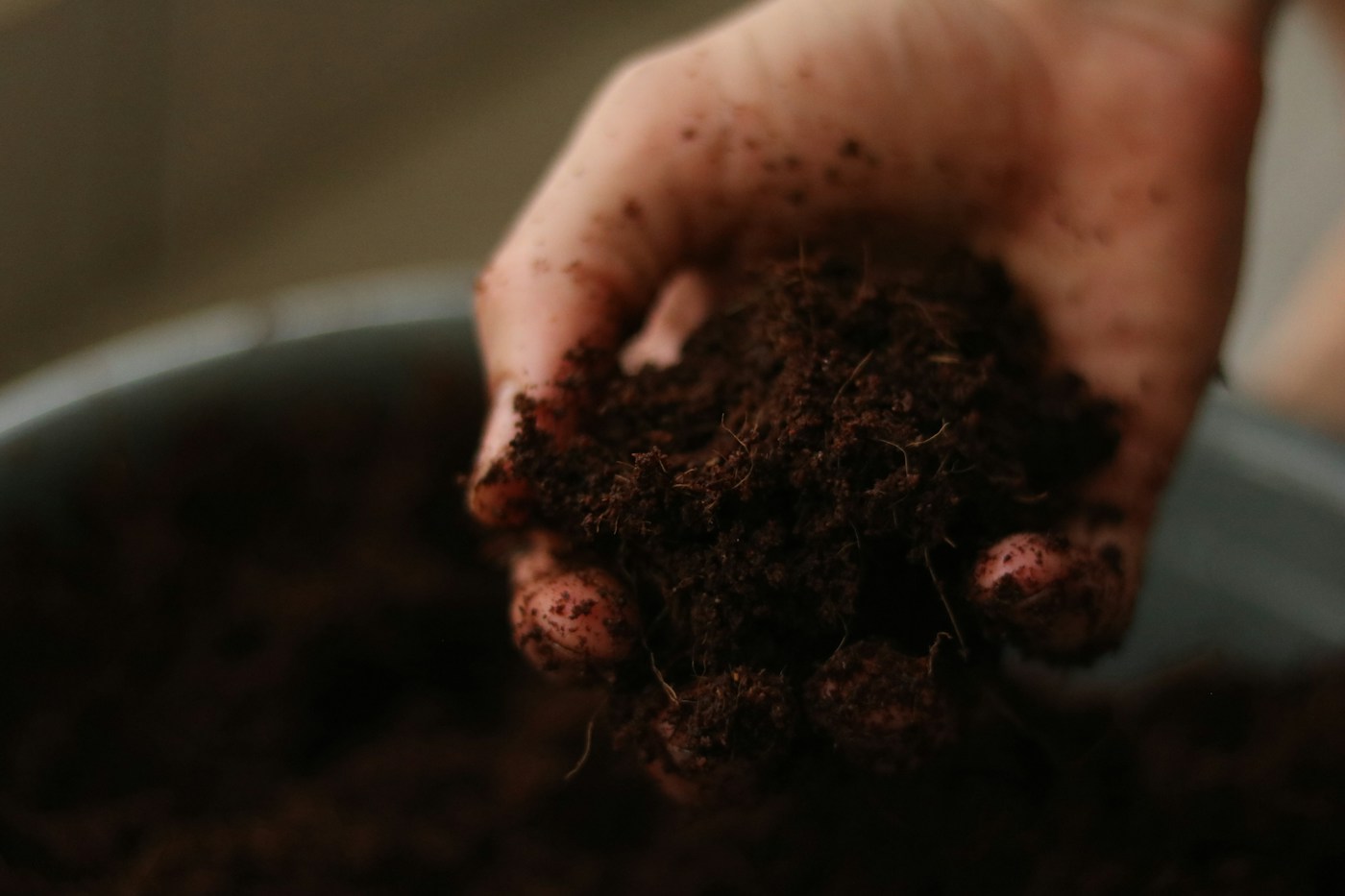 Mano con una manciata di terra scura: il colore non rivela il pH del suolo