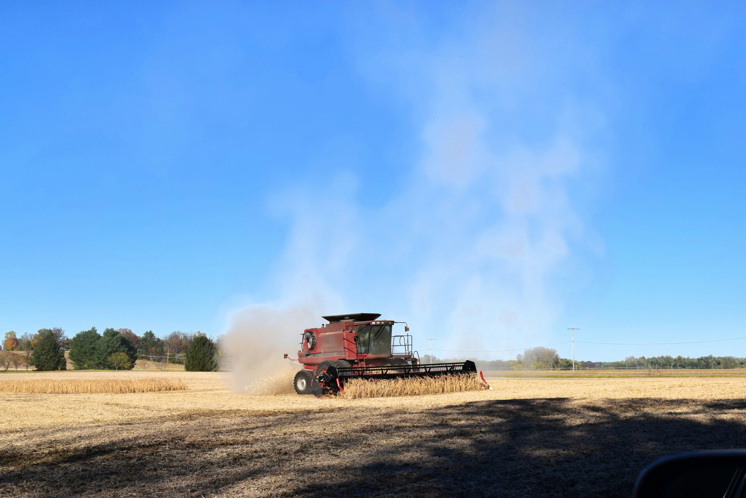 Trattore al lavoro in campo durante la raccolta del foraggio, con terreno asciutto