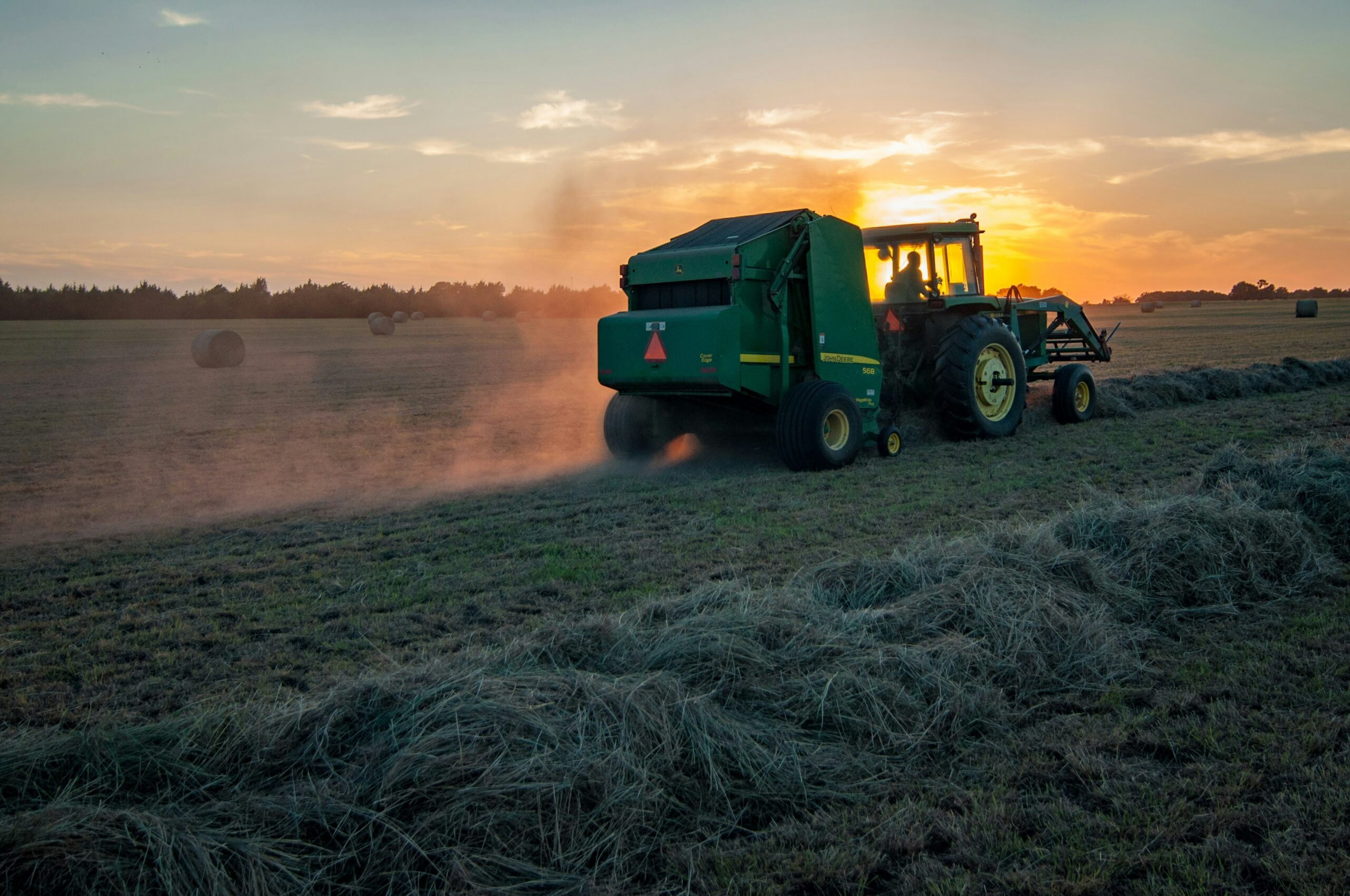 Macchina agricola che raccoglie il foraggio disposto in andana