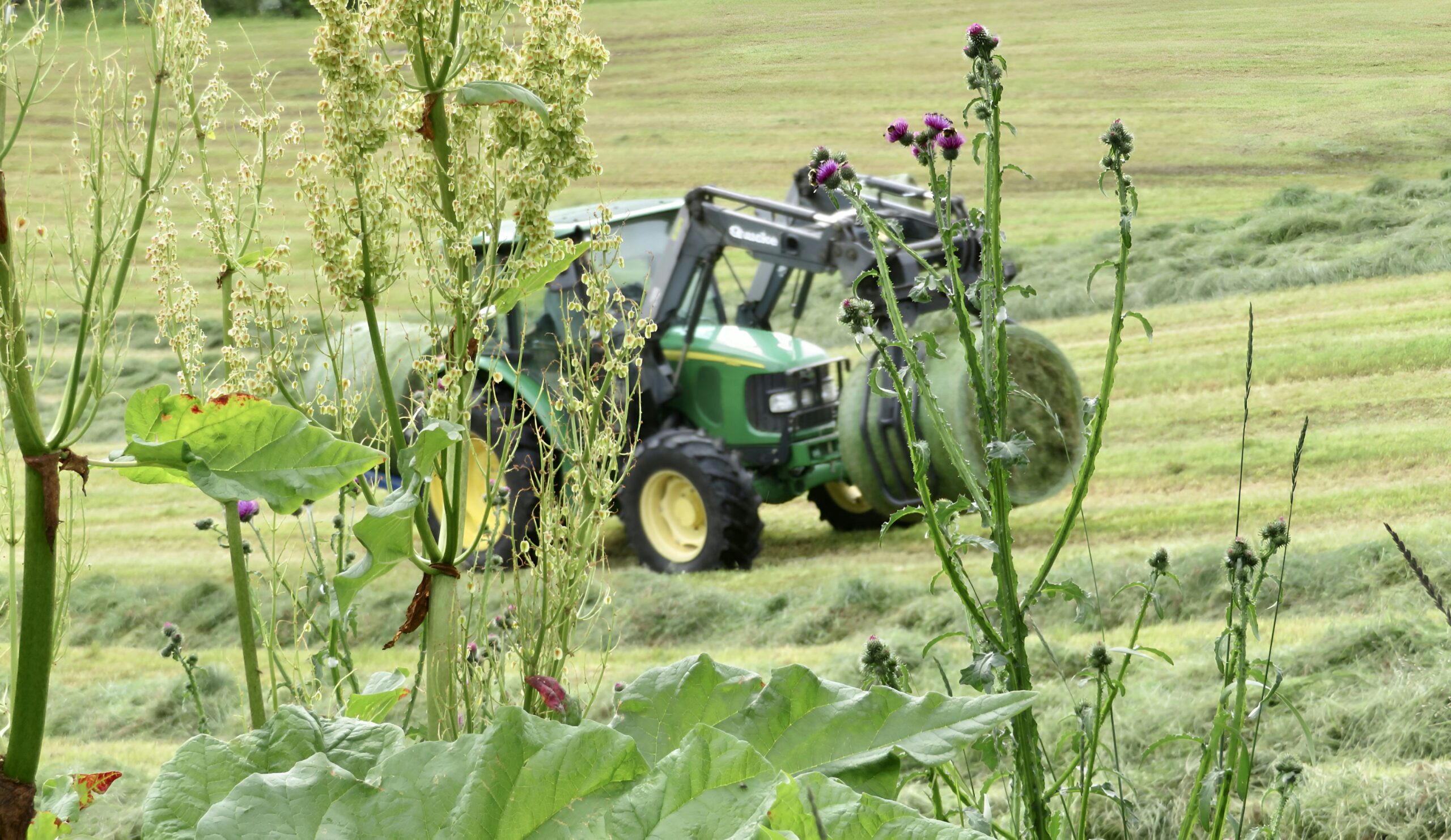 Trattore durante lo sfalcio di un prato destinato a foraggio