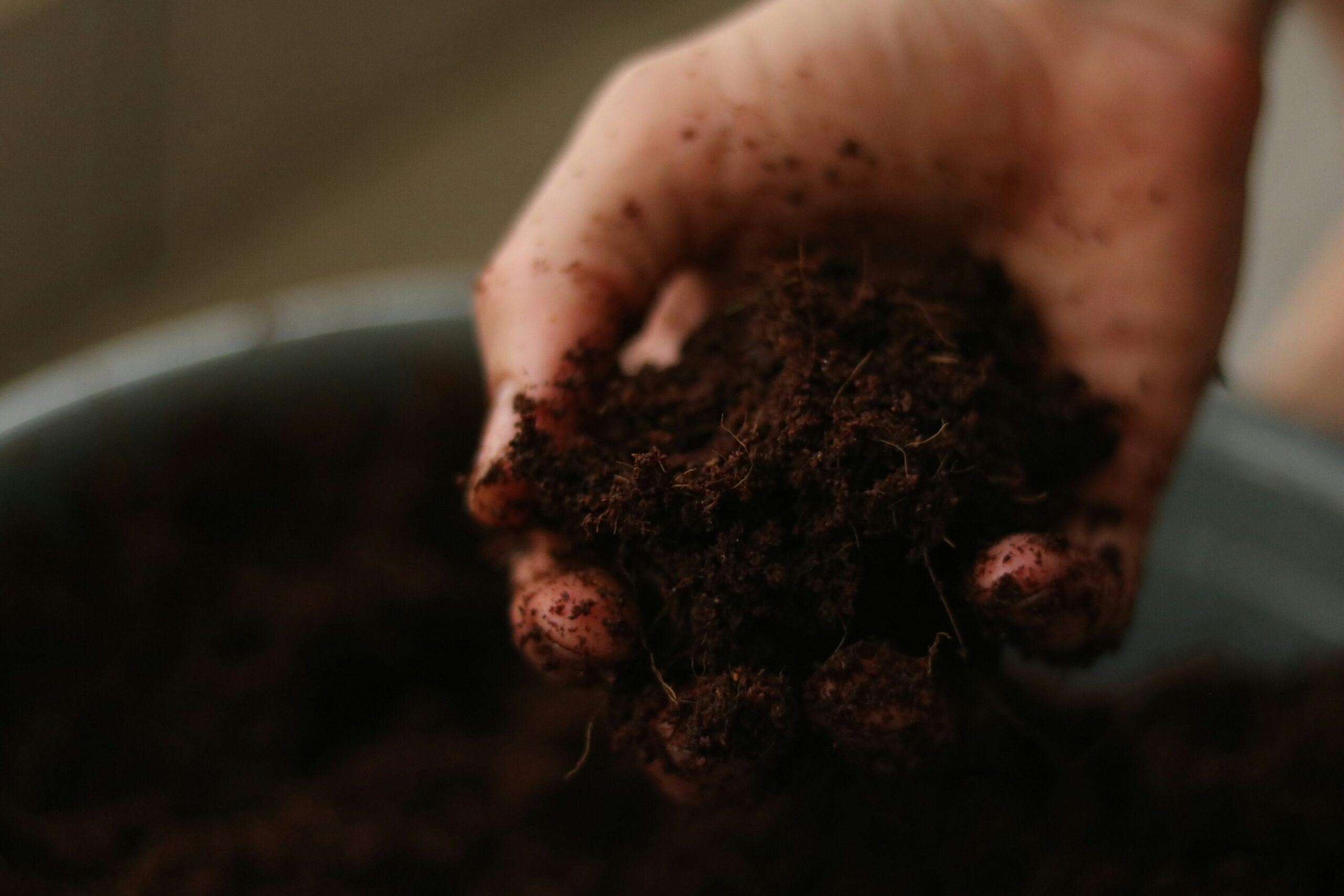 Persona che tiene un campione di terreno tra le mani per valutarne struttura e colore